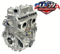 Ski-Doo 850 E-TEC Reman Engine