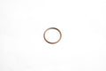 SEA-DOO 800 / 951 POWER VALVE BELLOWS SPRING (SMALL) - WSM part MM.WS.010-495-07